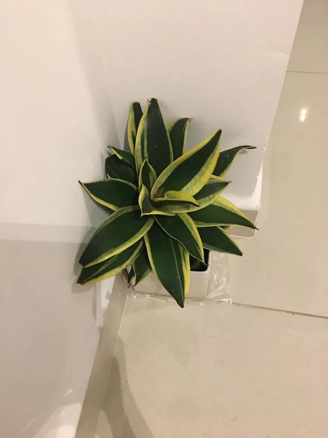 Thuy Sky1 Apartment Ho Chi Minh City